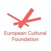 ICT bij ECF